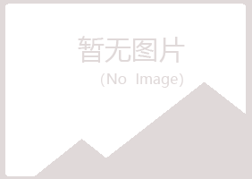 济南埋没音乐有限公司